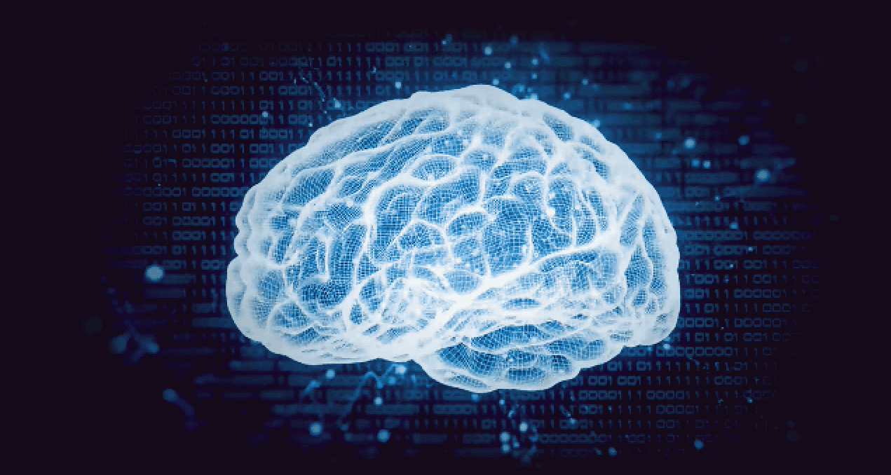 Activité Cérébrale